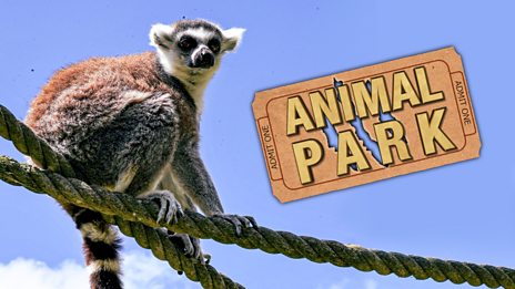 Animal Park.jpg